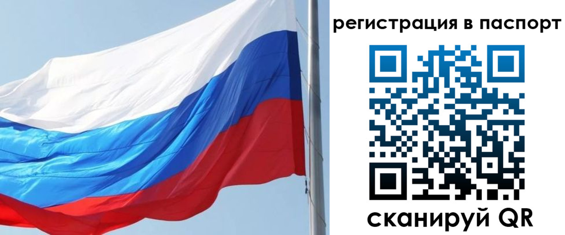 прописка законно в Почепе
